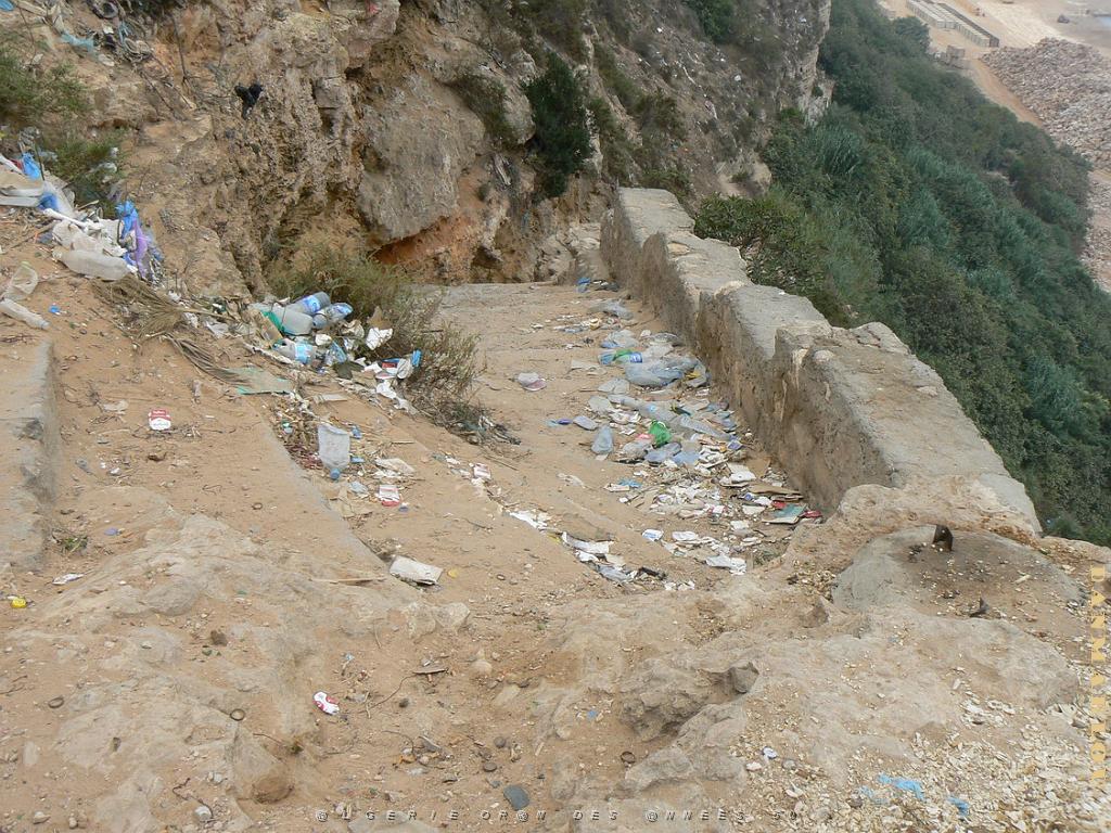 ORAN 2009 la cueva del agua  l escalier qui y descend.jpg